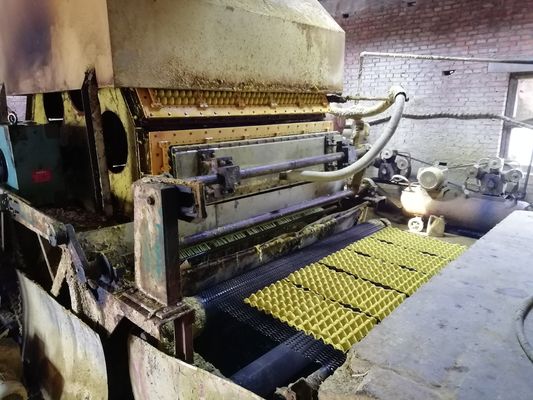 Τελευταία μηχανή για τη συσκευασία αυγών για βιώσιμες λύσεις συσκευασίας